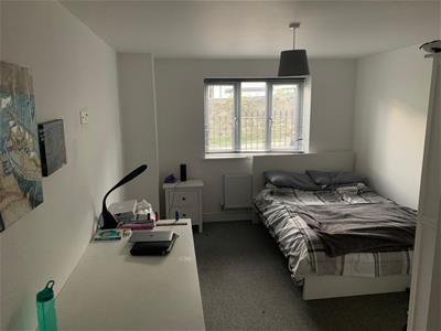 Picture 5